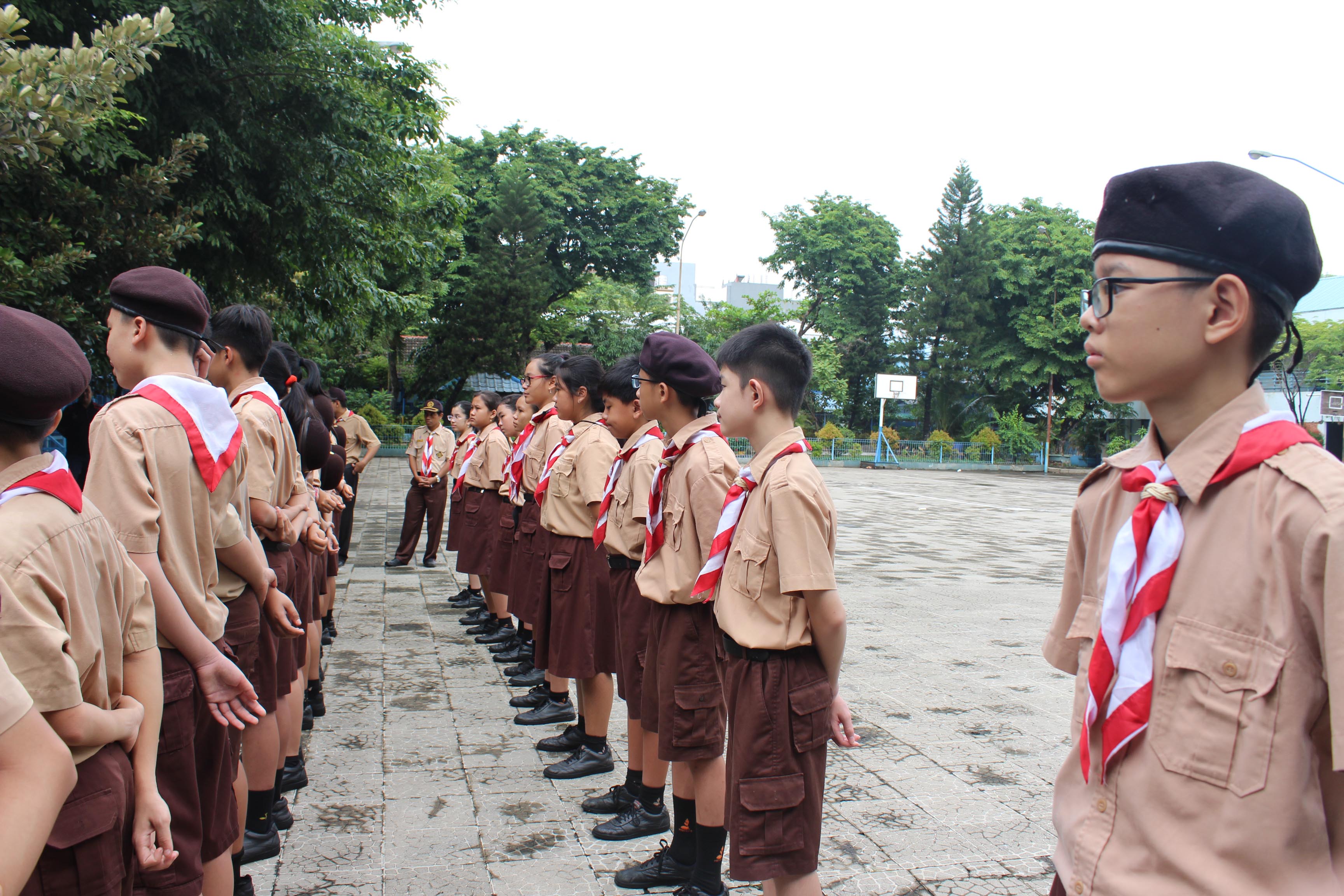 Dianpinru 2019